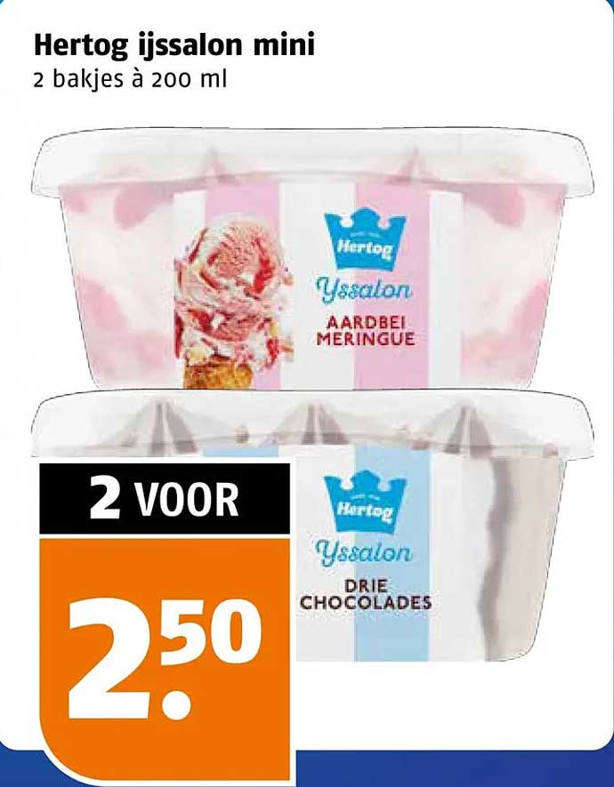Hertog ijsalon mini 2 bakjes à 200 ml