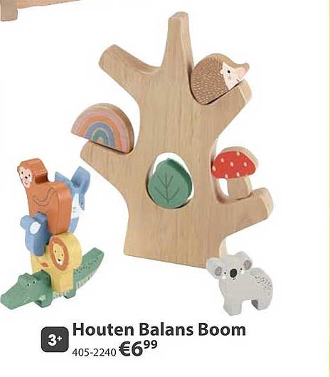 Houten Balans Boom