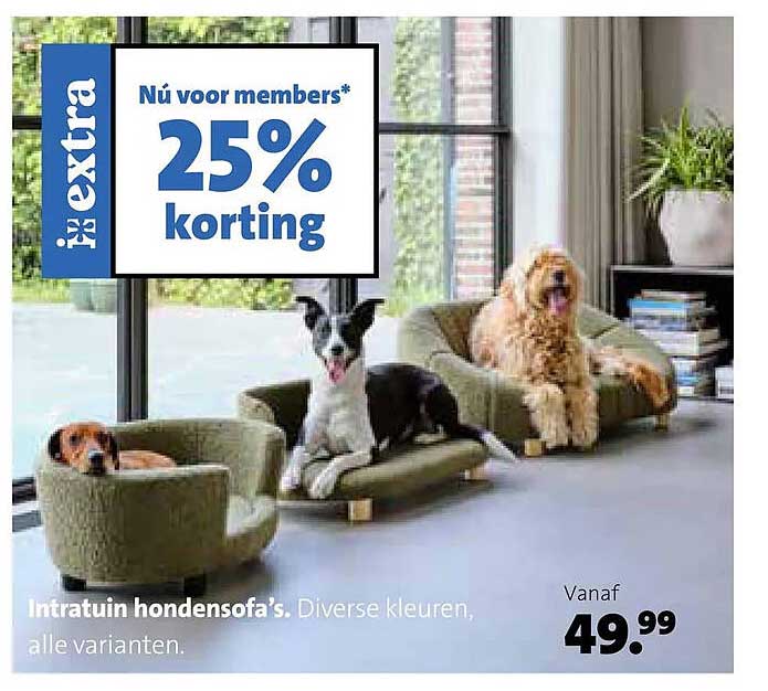 Intratuin hondensofa’s. Diverse kleuren, alle varianten. Nu voor members* 25% korting