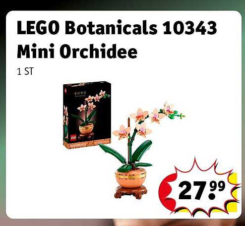LEGO Botanicals 10343 Mini Orchidee