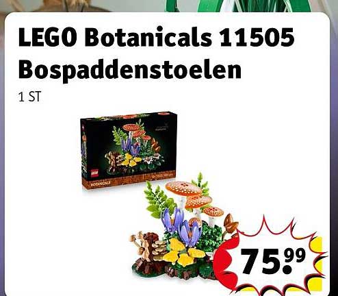 LEGO Botanicals 11505 Bospaddenstoelen