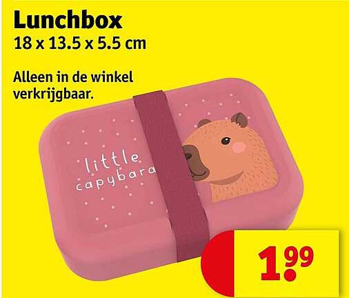Lunchbox 18 x 13.5 x 5.5 cm