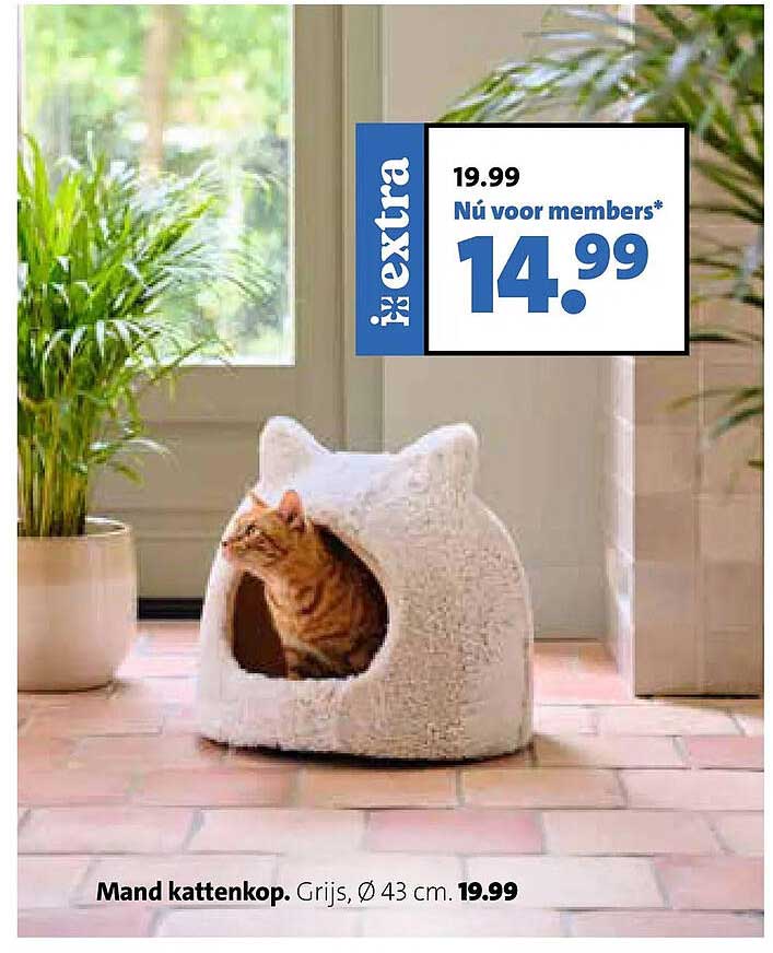 Mand kattenkop. Grijs, Ø 43 cm. 19.99