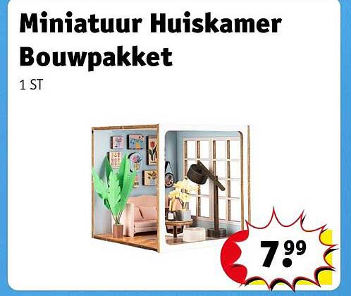 Miniatuur Huiskamer Bouwpakket