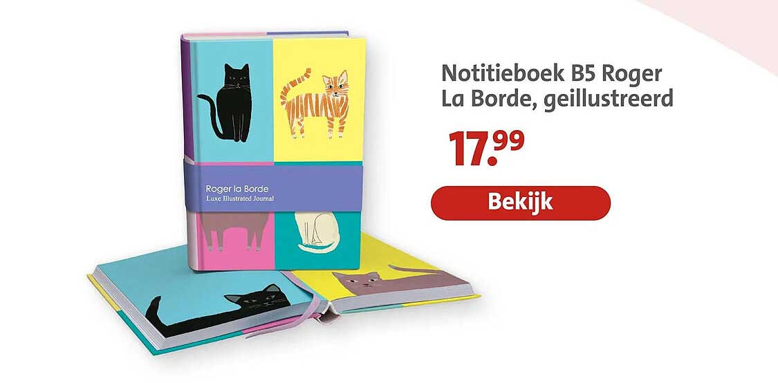 Notitieboek B5 Roger La Borde, geïllustreerd