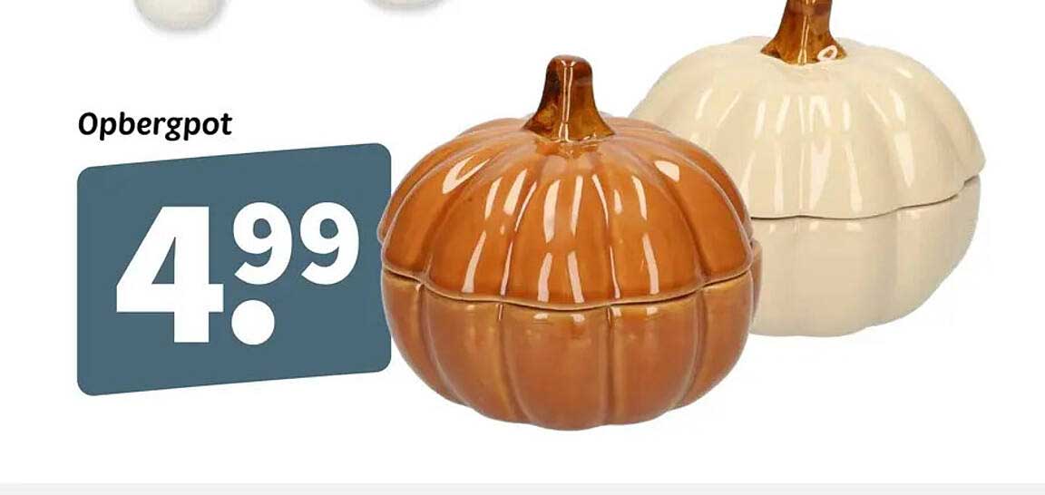 Opbergpot