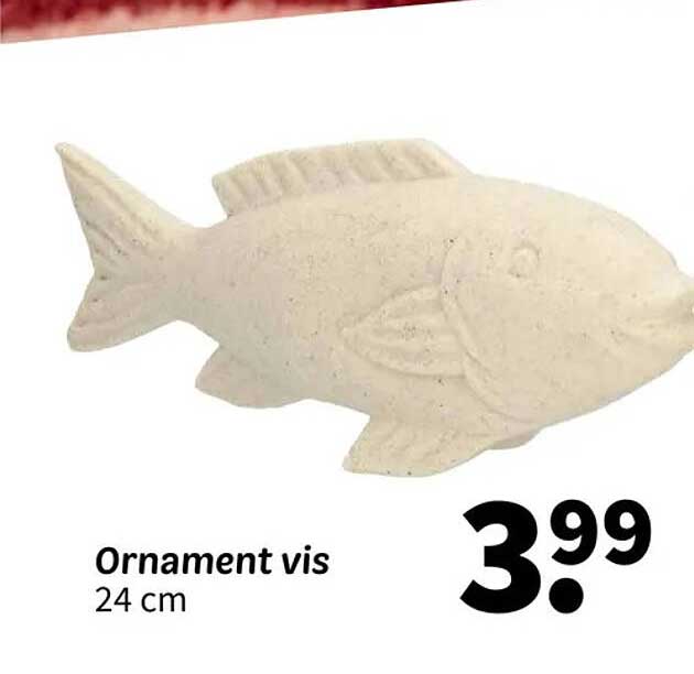 Ornament vis 24 cm