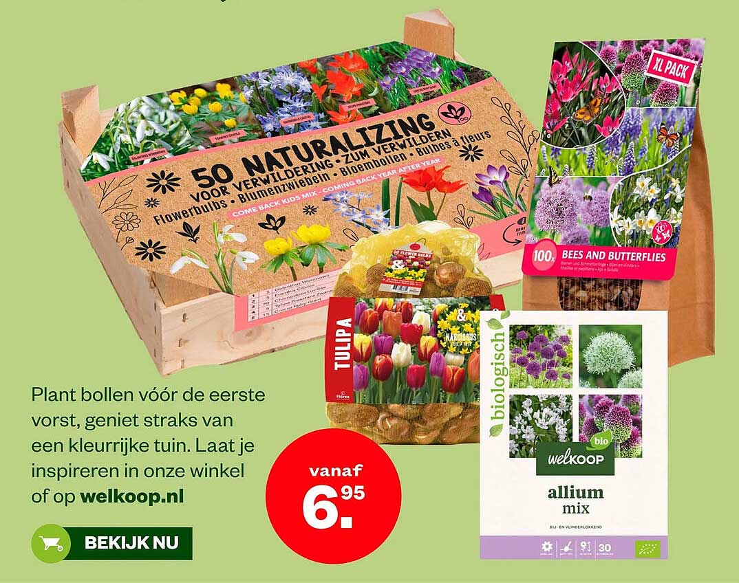 Plant bollen vóór de eerste vorst, geniet straks van een kleurrijke tuin. Laat je inspireren in onze winkel of op welkoop.nl