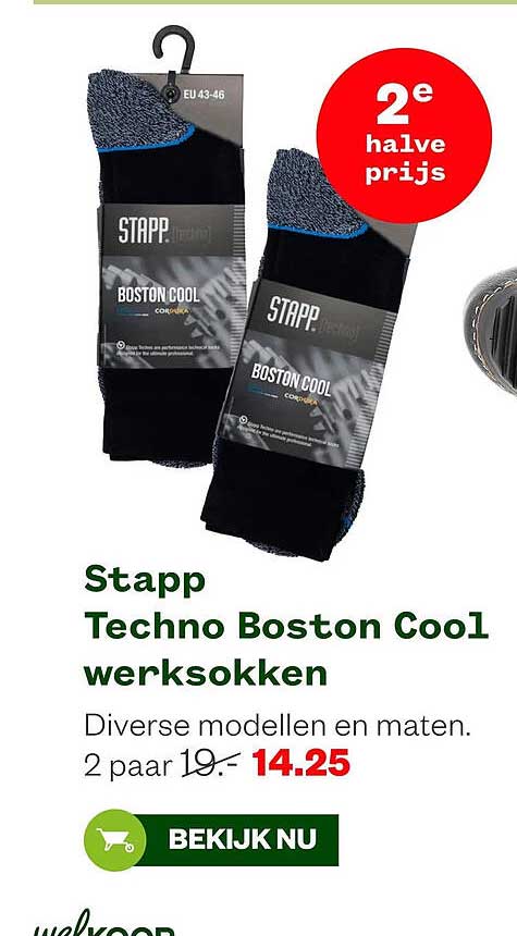 Stapp Techno Boston Cool werksokken 2e halve prijs