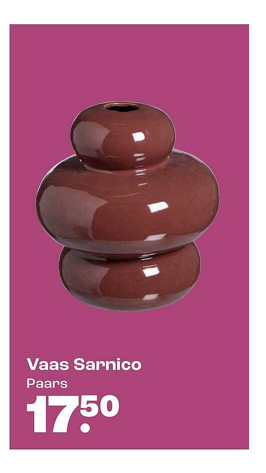 Vaas Sarnico Paans