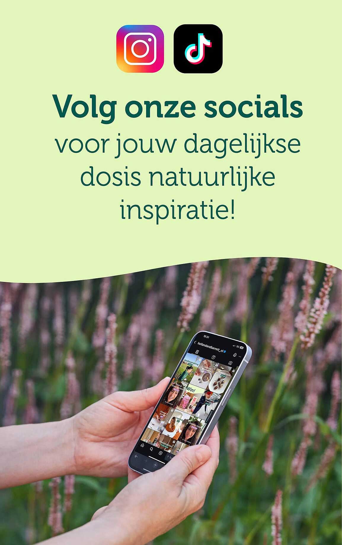 Volg onze socials voor jouw dagelijkse dosis natuurlijke inspiratie!