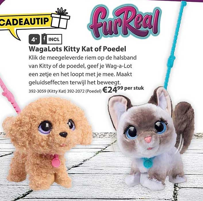 WagaLots Kitty Kat of Poedel
