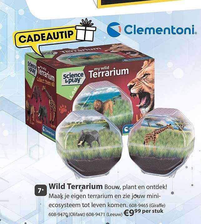 Wild Terrarium Bouw, plant en ontdek!