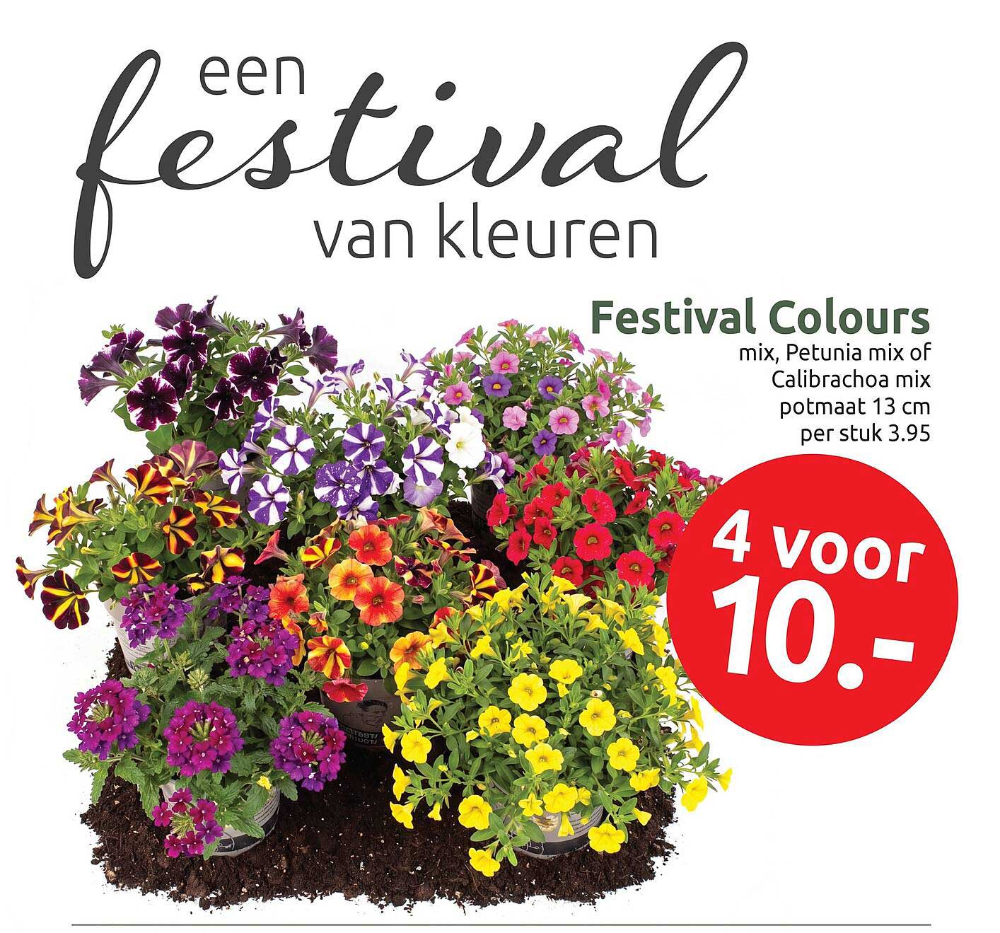Festival Colours mix, Petunia mix of Calibrachoa mix potmaat 13 cm per stuk 3.95 4 voor 10.-