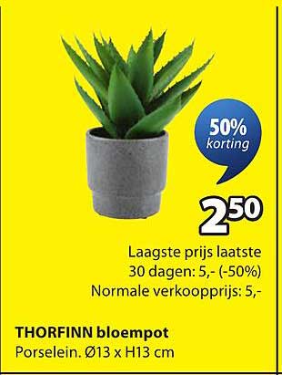 THORFINN bloempot