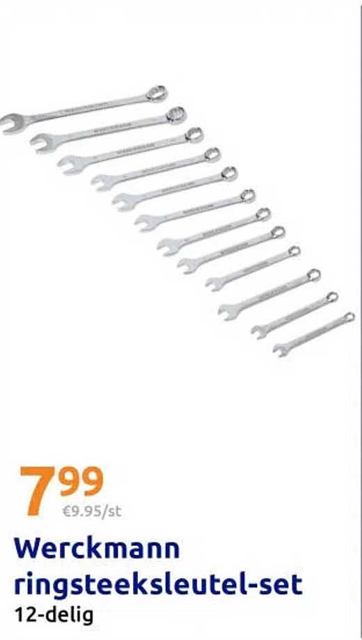 Werckmann ringsteeksleutel-set 12-delig