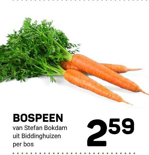 BOSPEEN van Stefan Bokdam uit Biddinghuizen per bos