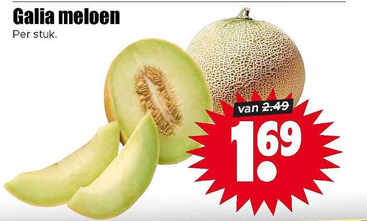 Galia meloen