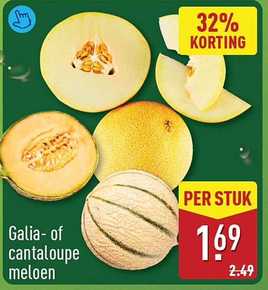 Galia- of cantaloupe meloen 32% KORTING
