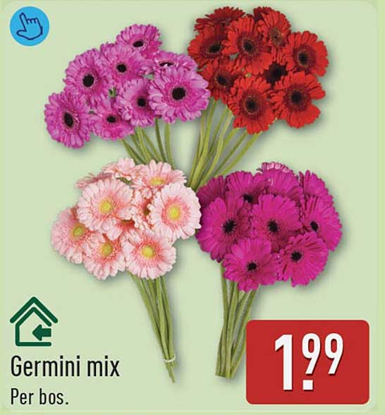 Germini mix