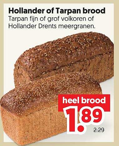 Hollander of Tarpan brood