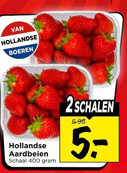 Hollandse Aardbeien Schaal 400 gram 2 schalen