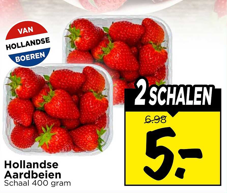 Hollandse Aardbeien Schaal 400 gram 2 SCHALEN