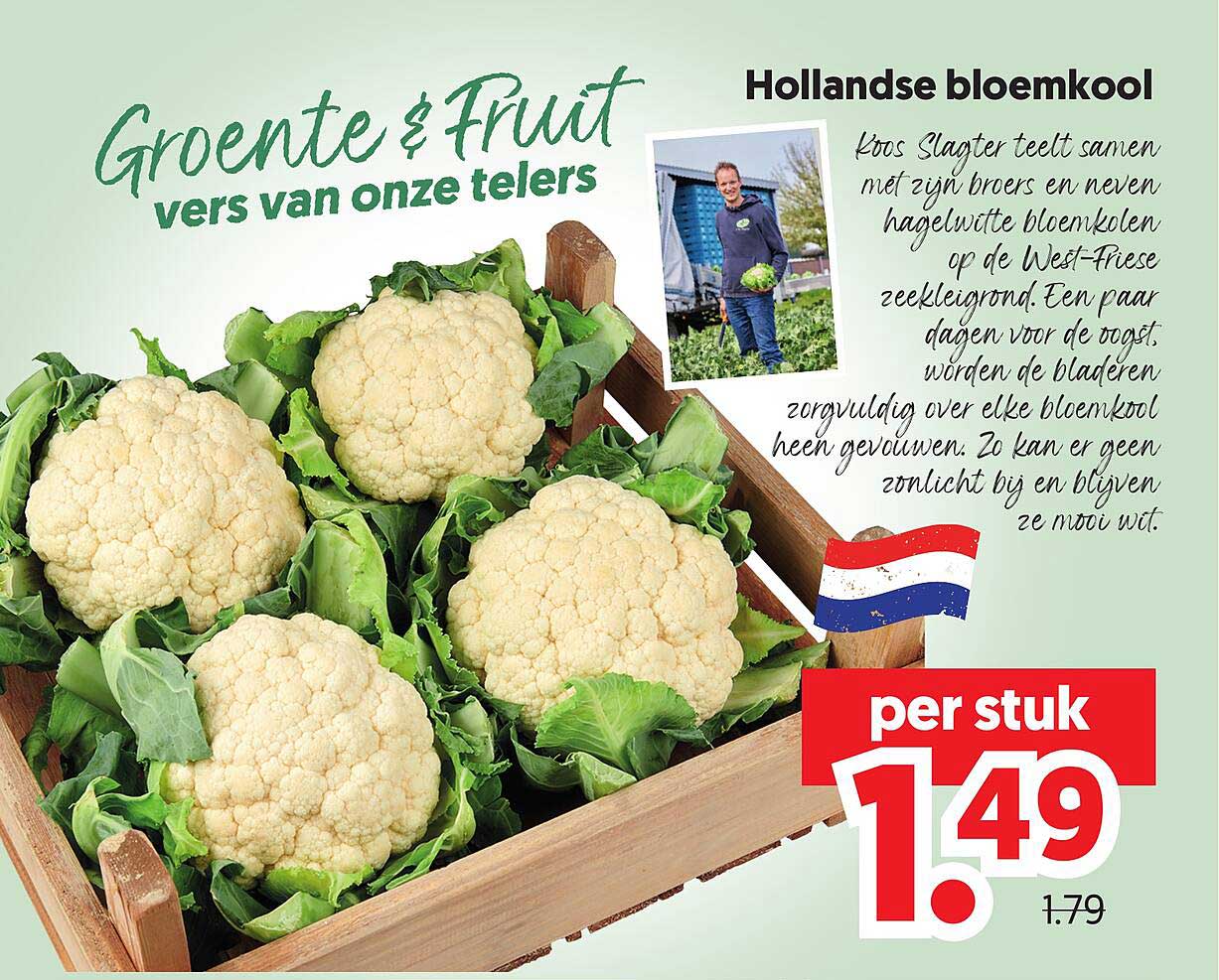 Hollandse bloemkool