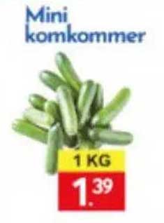 Mini komkommer 1 KG