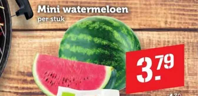 Mini watermeloen per stuk