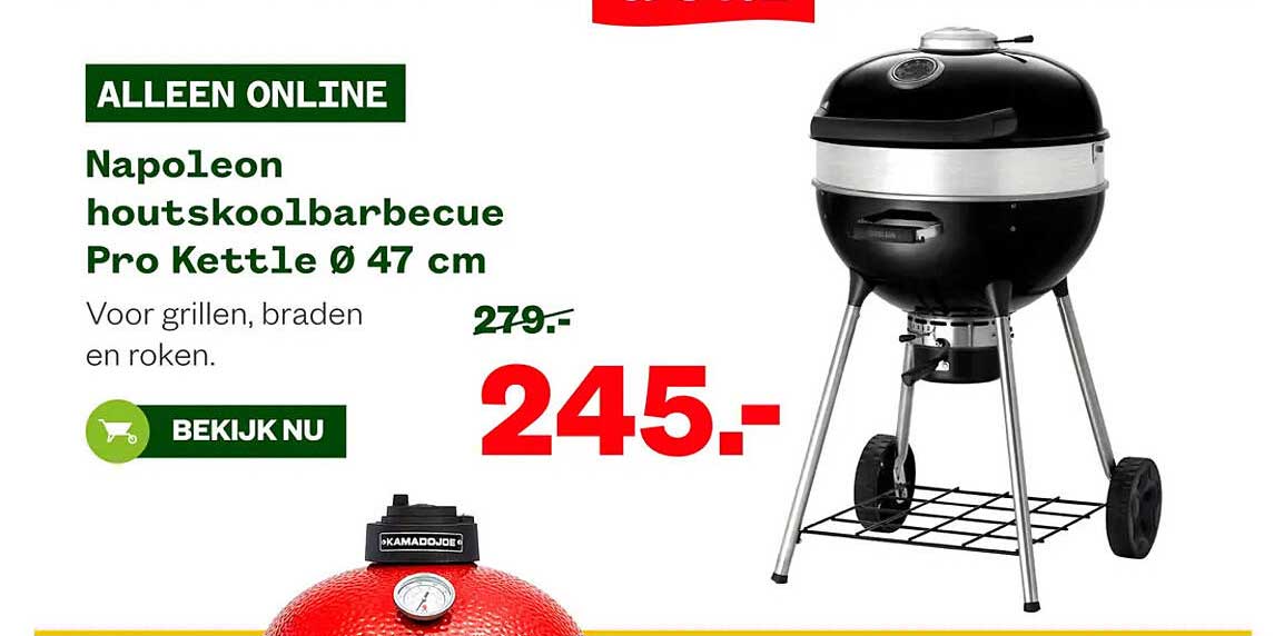 Napoleon houtskoolbarbecue Pro Kettle Ø 47 cm