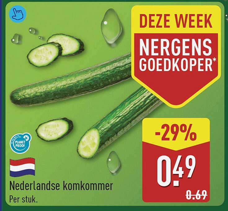 Nederlandse komkommer