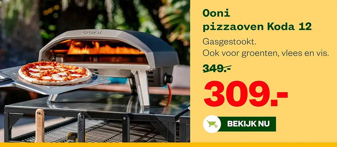 Ooni pizzaoven Koda 12