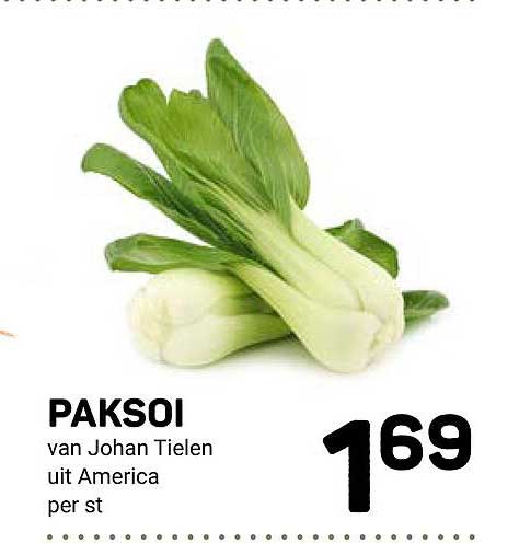 PAKSOI van Johan Tielen uit America per st
