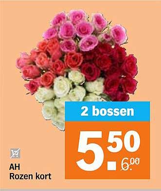 Rozen kort 2 bossen
