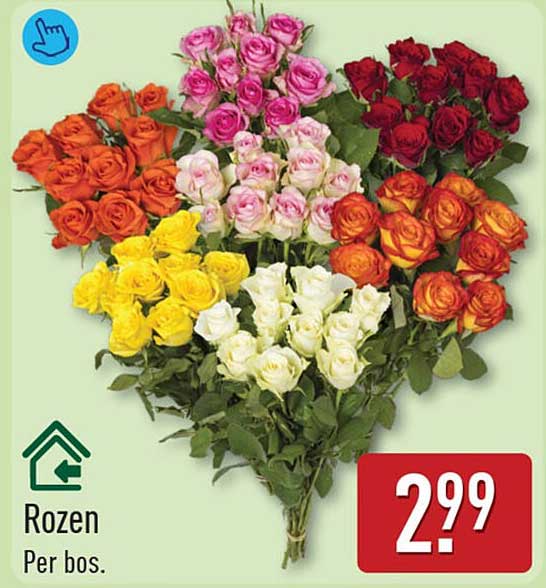 Rozen Per bos.