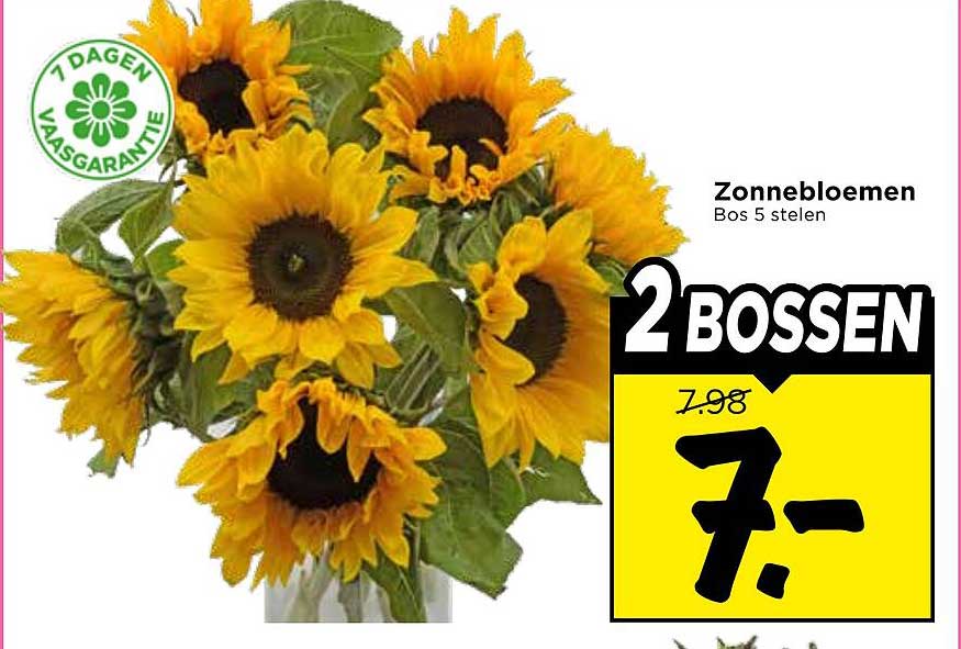 Zonnebloemen Bos 5 stelen 2 bossen