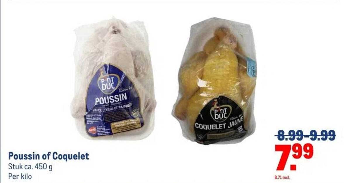Poussin of Coquelet