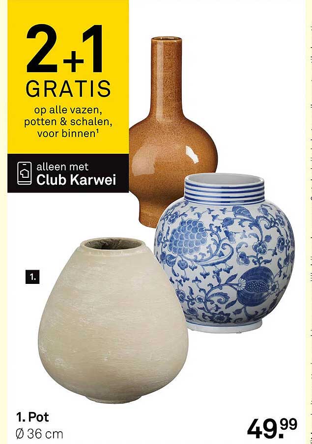 2+1 GRATIS op alle vazen, potten & schalen, voor binnen¹ alleen met Club Karwei