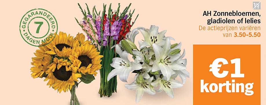 AH Zonnebloemen, gladiolen of lelies €1 korting