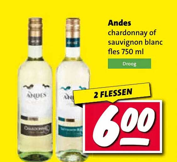 Andes chardonnay of sauvignon blanc fles 750 ml 2 FLESSEN