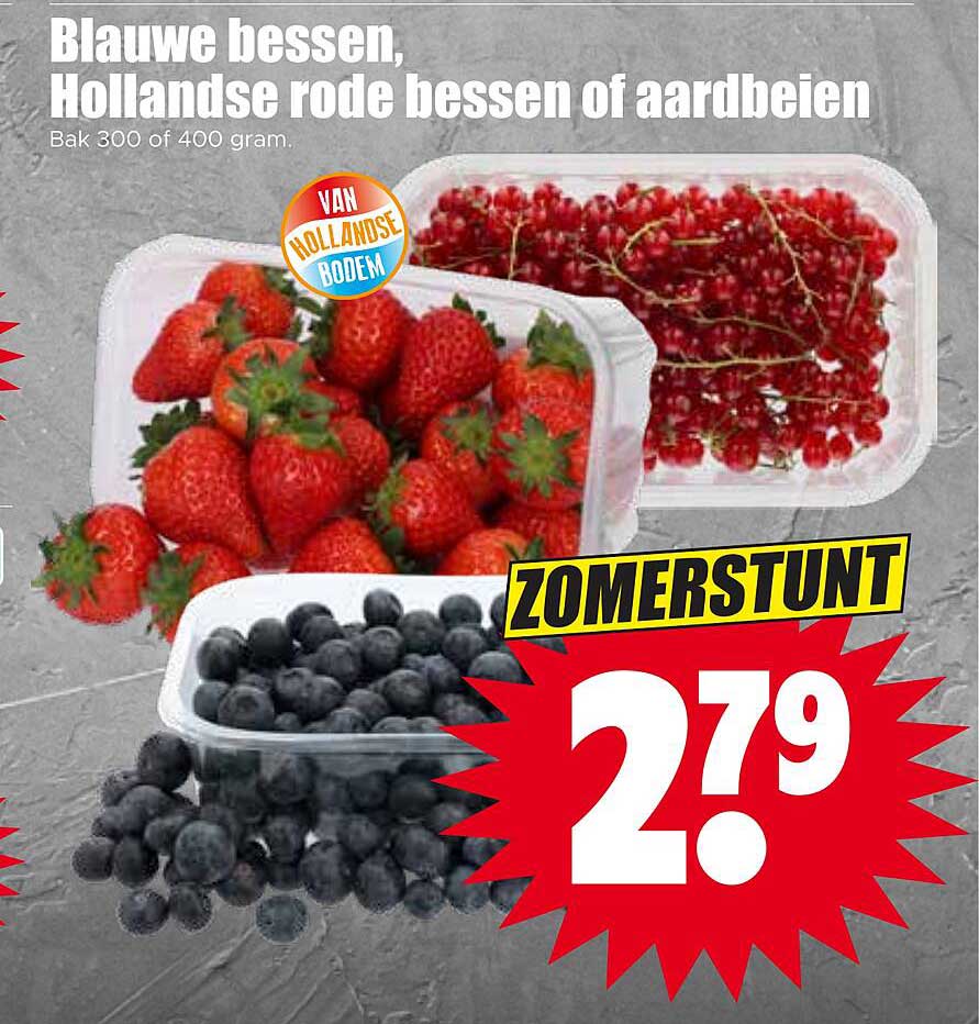 Blauwe bessen, Hollandse rode bessen of aardbeien ZOMERSTUNT