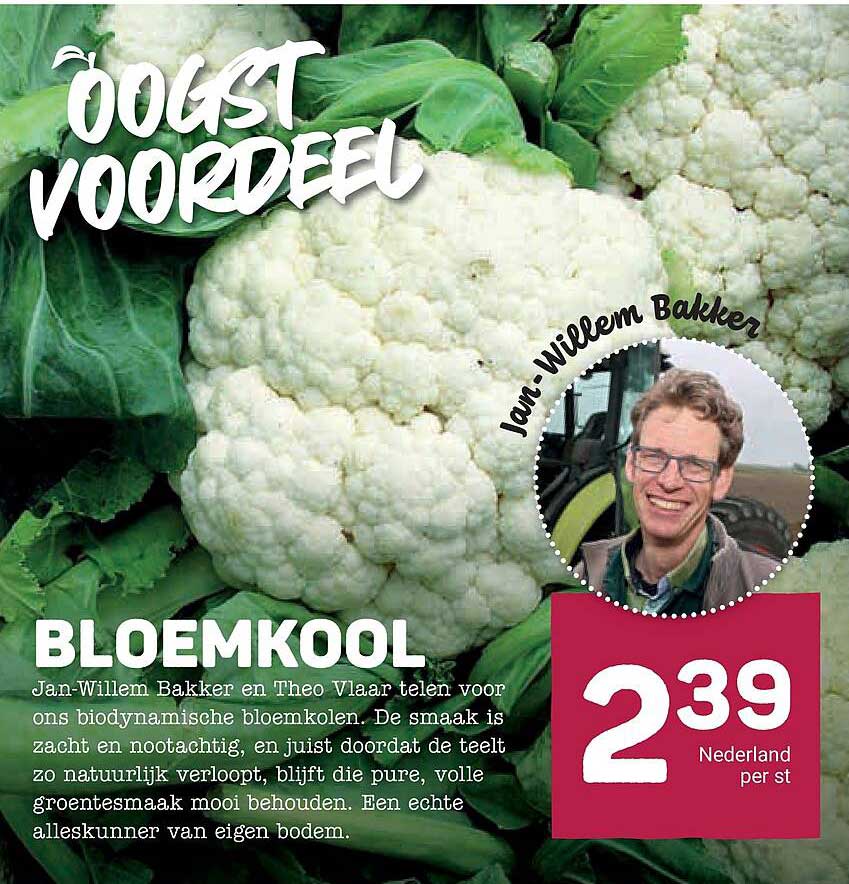 BLOEMKOOL