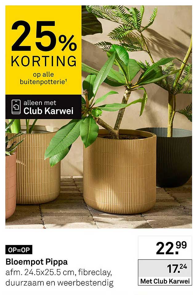 Bloempot Pippa 25% korting op alle buitenpotterie¹ alleen met Club Karwei