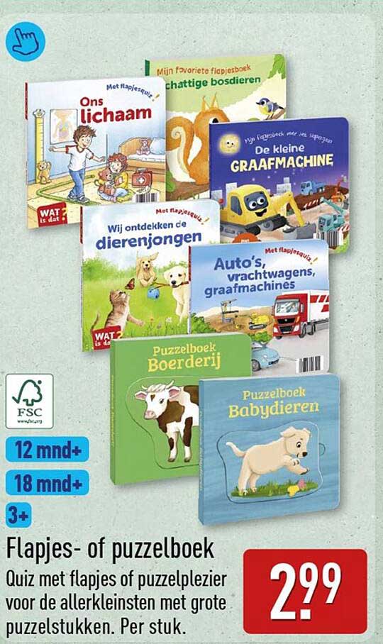 Flapjes- of puzzelboek