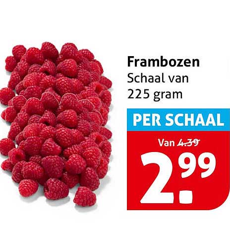 Frambozen Schaal van 225 gram PER SCHAAL