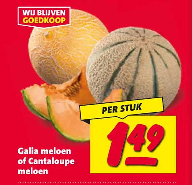 Galia meloen of Cantaloupe meloen