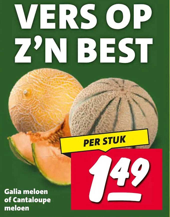 Galia meloen of Cantaloupe meloen per stuk