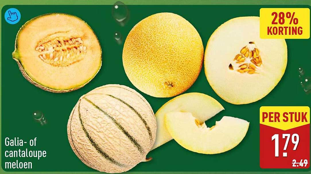 Galia- of cantaloupe meloen 28% korting