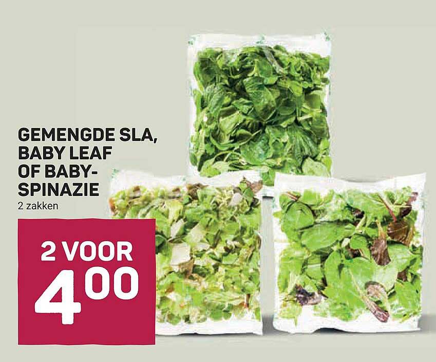 GEMENGDE SLA, BABY LEAF OF BABY-SPINAZIE 2 zakken